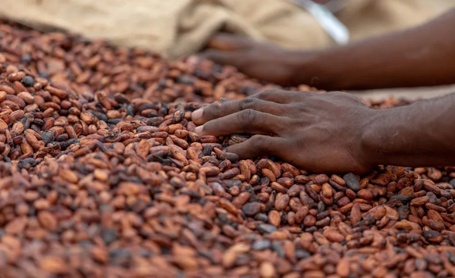 Navigating a climate conscious world: Cargill