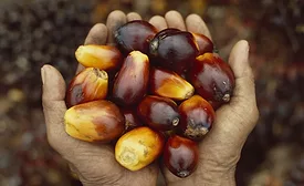 Consumers concerned about responsible palm oil sourcing: Cargill
