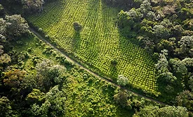 WCF publishes assessment revealing accuracy of key maps