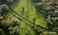 WCF publishes assessment revealing accuracy of key maps