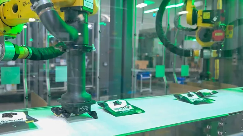 Candymaker increases productivity with first-time automation