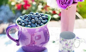 blueberries generic