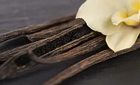 Flavorchem unveils vanilla ingredient portfolio Flavorchem unveils vanilla ingredient portfolio
