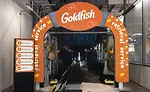 Goldfish car wash