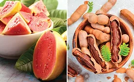 Wixon launches guava, tamarind flavors at IFT FIRST