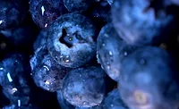 Big ol bunch of tasty blueberries