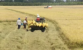 Beneo partners on sustainable rice initiative in Vietnam
