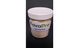 Fava protein Burcon