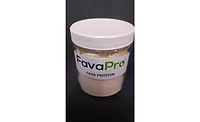 Fava protein Burcon Fava protein Burcon