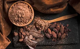 cocoa beans, cocoa powder, chocolate
