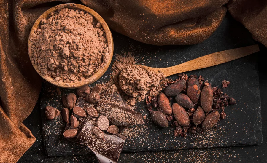 cocoa beans, cocoa powder, chocolate