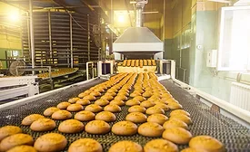 Cookies coming down a conveyor belt out of an oven