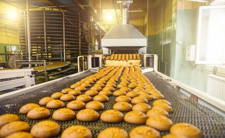 Cookies coming down a conveyor belt out of an oven