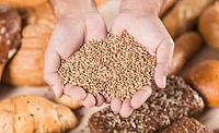 wheat grains and baked bread