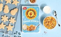 honey bunches of oats sugar cookie
