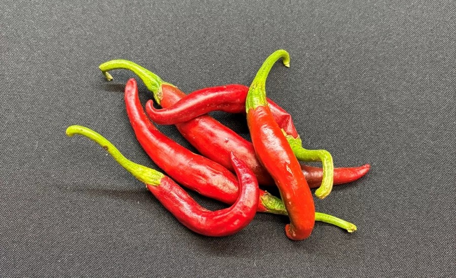 Vibrant red chiles on a gray fabric background