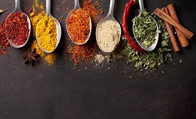 Midas Foods International acquires two seasoning brands