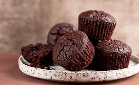 CSM Ingredients Group launches cocoa alternatives
