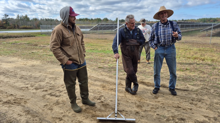 Three farmers in waders standing in field
