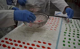 UW-Madison announces 2026 confectionery courses