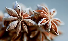 DSM-Firmenich names 2026 Flavor of the Year