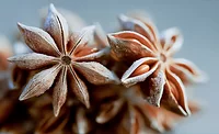 DSM-Firmenich names 2026 Flavor of the Year