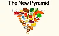 Updated US food pyramid, with proteins, fruits and vegetables, and grains