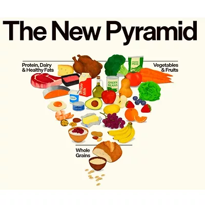 food pyramid