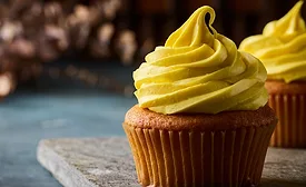 Oterra releases 2026 Color Trends report