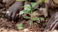 Nestlé helps support next generation of farmers Nestlé helps support next generation of farmers