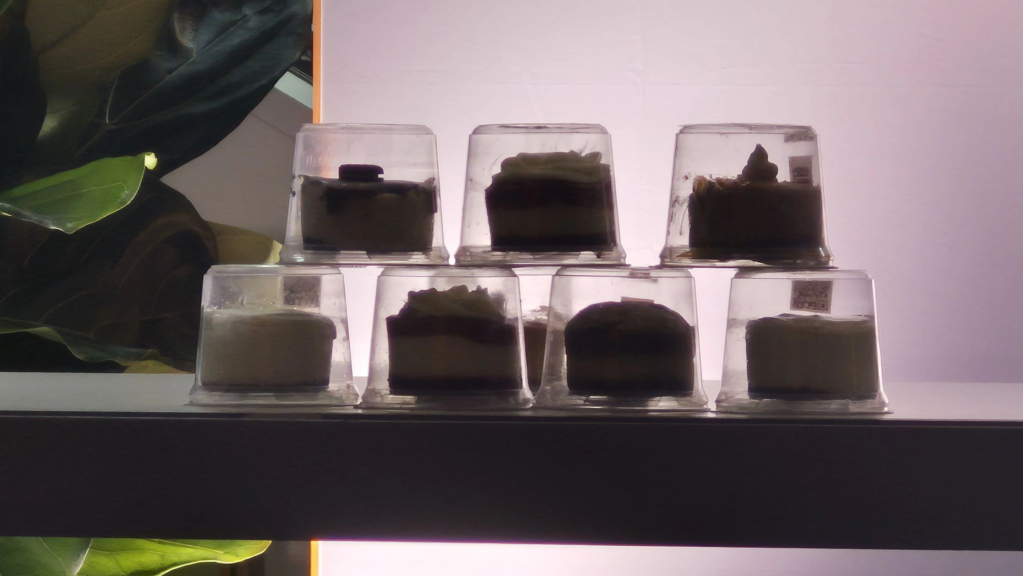 ASB BakingTECH 2026