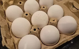 Nine eggs in a carton