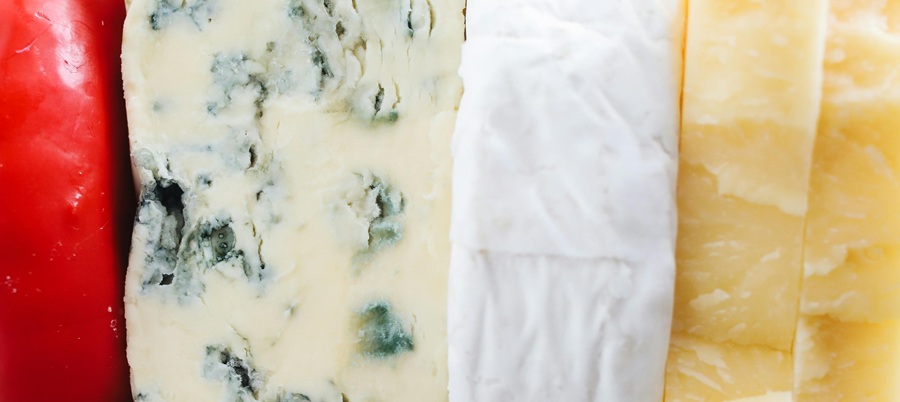 Closeup of assorted cheese varieties