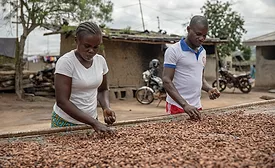 Mars cocoa 2026
