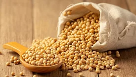 soybeans