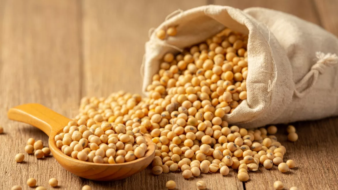 soybeans