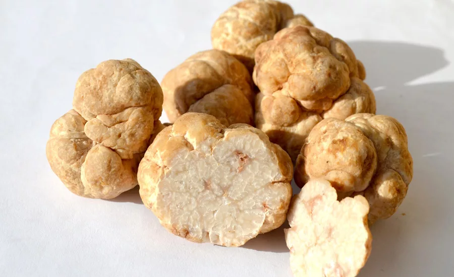 MycoTechnology's protein achieves regulatory milestone