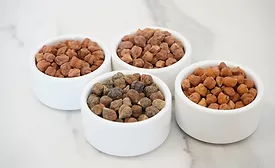 NuCicer, Stricks Ag launch strategic partnership