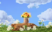 Edible Arrangements, Mars partner on fruit bouquets Edible Arrangements, Mars partner on fruit bouquets