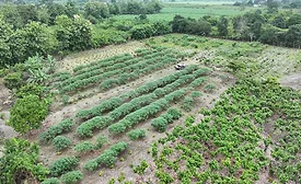 Mars and ofi Announce Strategic Collaboration to Accelerate Net Zero Cocoa in Ecuador