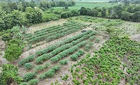 Mars and ofi Announce Strategic Collaboration to Accelerate Net Zero Cocoa in Ecuador Mars and ofi Announce Strategic Collaboration to Accelerate Net Zero Cocoa in Ecuador
