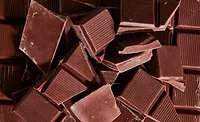 Cargill, Voyage Foods release cocoa-free confectionery alternatives Cargill, Voyage Foods release cocoa-free confectionery alternatives