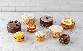 Rich Products introduces new mini cakes