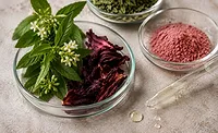 SuanNutra expands portfolio with IFF brands