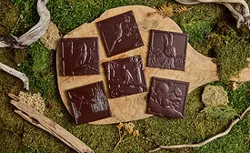 Wildwood debuts The Woodland Collection