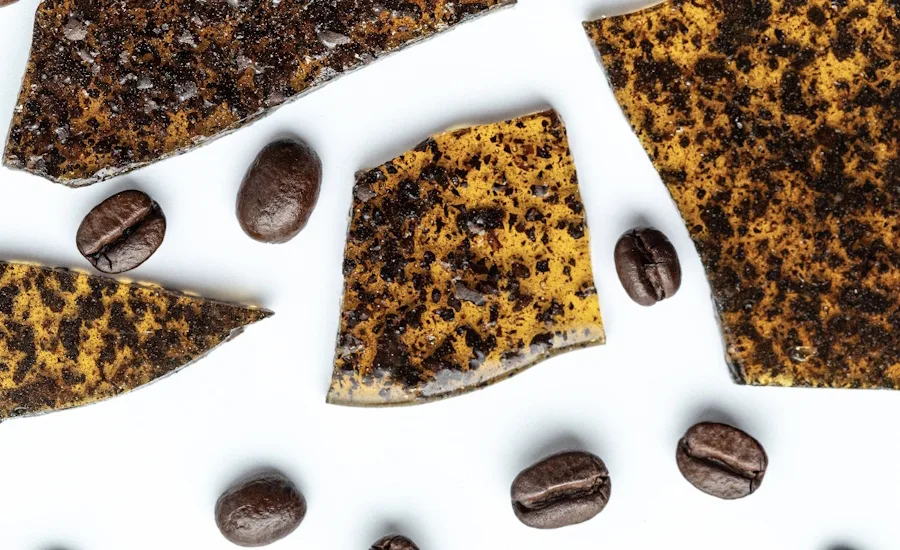 SugarBean aims to give confectionery industry a jolt