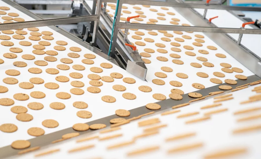 Syntegon debuts flexible discharge station