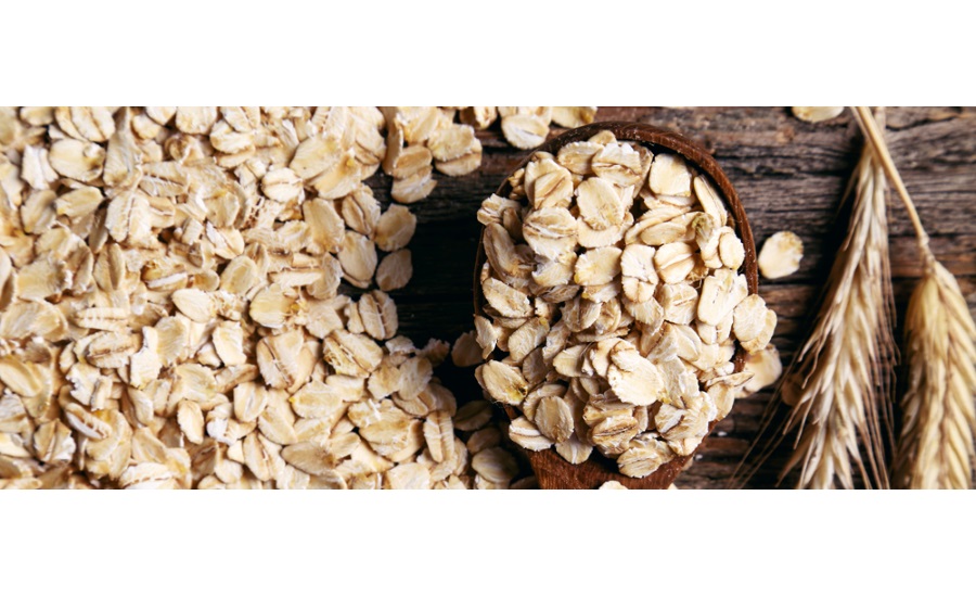 Get Wholesale oatmeal maker And Improve Your Business 