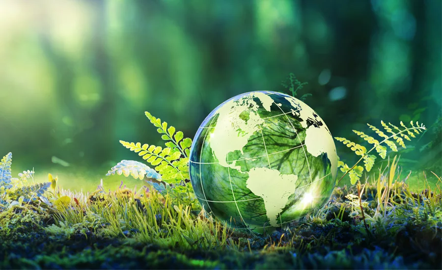 Sustainable packaging for snack food and wholesale baking products