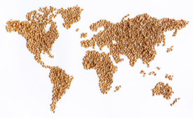 Market perspectives on global grain sourcing